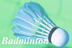 Badminton